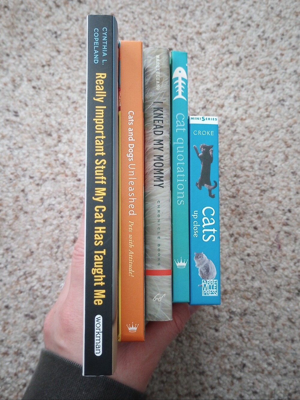Lot Of Cat Books 5 Total Cats Kittens Cute Pictures Facts - Picture 2 of 13